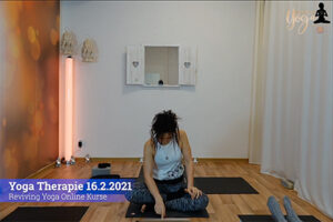 Yoga Therapie 16-02-2021