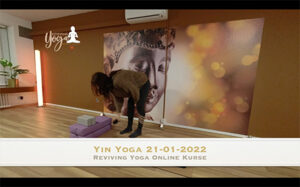 Yin & Restorative Yoga 21-01-2022
