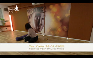 Yin & Restorative Yoga für Nieren und Leber Meridiane 28-01-2022
