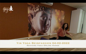Yin & Restorative Yoga Beinfaszien 04-02-2022
