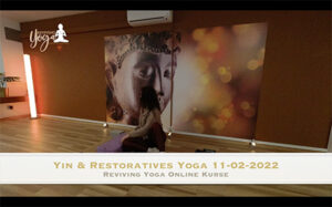 Yin & Restorative Yoga für Hauptmeridiane inklusive Herzmeridian 11-02-2022